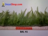 bulu ayam lancip BAL 41 - feather medium.jpg